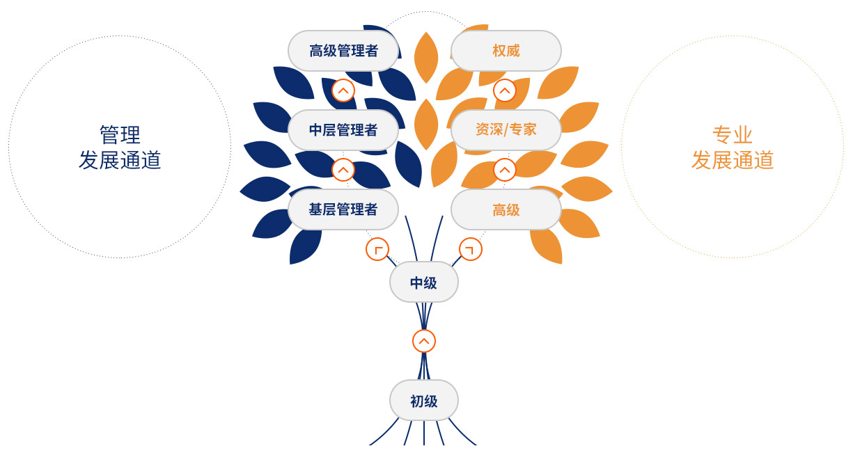 太阳集团娱乐所有网站·主頁接待您